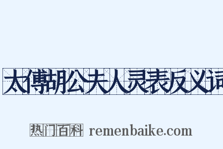 太傅胡公夫人灵表反义词是什么意思的图片